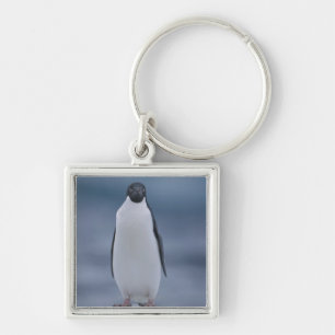 Chaveiro Pinguim de Adelie no gelo