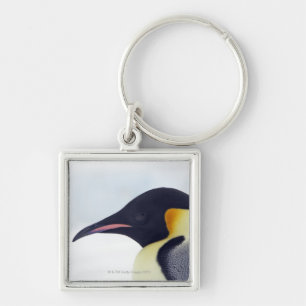 Chaveiro Pinguim de imperador, ilha do monte da neve