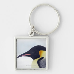 Chaveiro Pinguim de imperador, ilha do monte da neve, mar