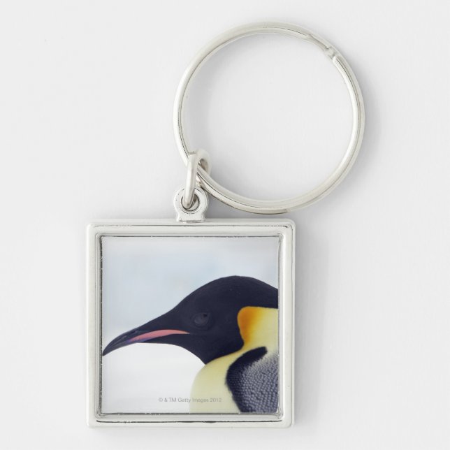 Chaveiro Pinguim de imperador, ilha do monte da neve, mar (Frente)