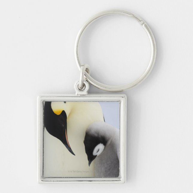 Chaveiro Pinguim de imperador que olha o pintinho (Frente)