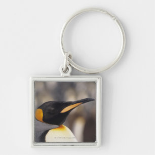 Chaveiro Pinguim de rei (patagonicus do Aptenodytes)