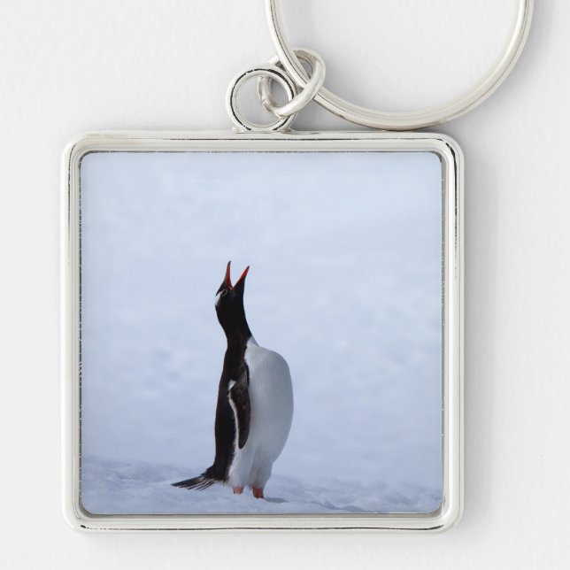 Chaveiro Pinguim Gentoo (Frente)
