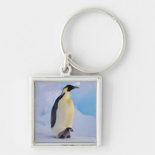Chaveiro Pinguim-imperador   Aptenodytes