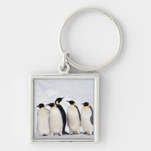 Chaveiro Pinguins de imperador