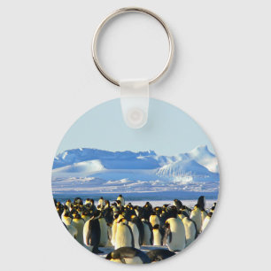 Chaveiro Pinguins imperadores