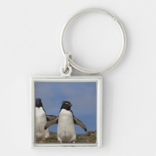 Chaveiro Pinguins Saltadores Eudyptes chrysocome