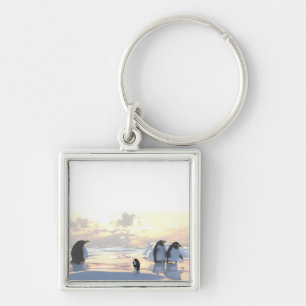 Chaveiro pinguins se resfriando em um bote de gelo