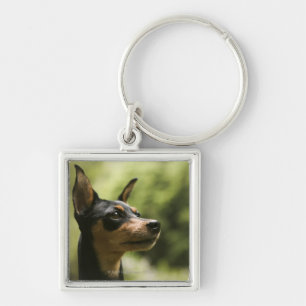Chaveiro Pinscher diminuto (Minuto-Pin)