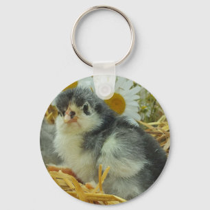 Chaveiro pintinho, animal, bebê, fofo, amarelo-flor, branco