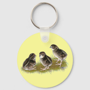 Chaveiro Pintinhos Coturnix Quail