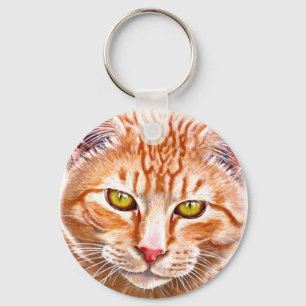 Chaveiro Pintura alaranjada do gato malhado