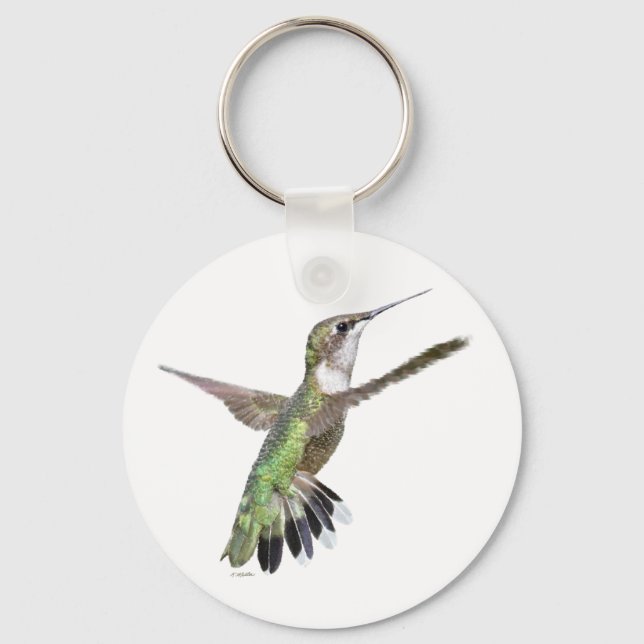Chaveiro Pintura de Berylline Hummingbird (Frente)