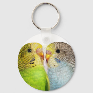 Chaveiro Pintura realística dos Budgerigars