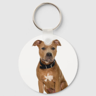 Chaveiro Pitbull americano