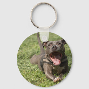 Chaveiro Pitbull na grama
