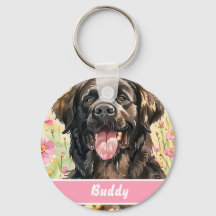Placa de Identificação para Cão de Terra Nova – In