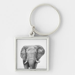 Chaveiro Plano de backup IV