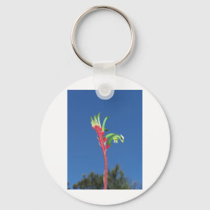 CHAVEIRO PLANTA DA PATA DE CANGURU