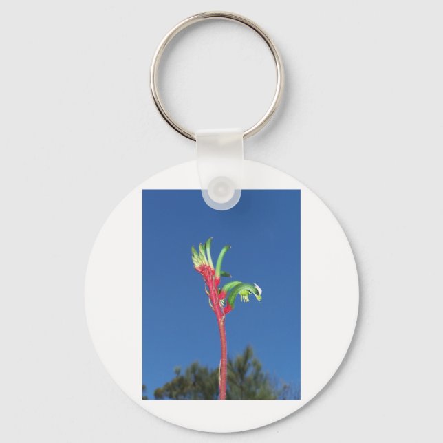 CHAVEIRO PLANTA DA PATA DE CANGURU (Frente)