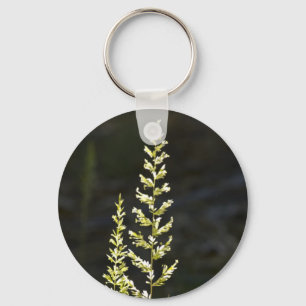 Chaveiro Planta Verde