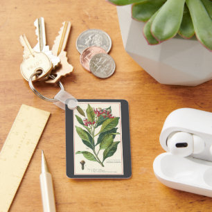 Chaveiro Plantas De Comida Vintage