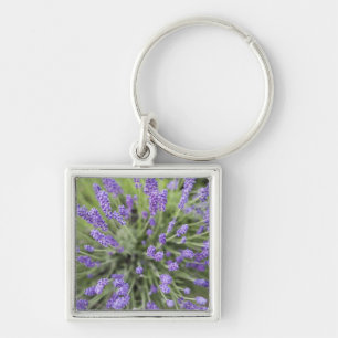 Chaveiro Plantas de lavanda