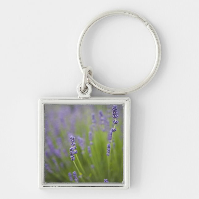 Chaveiro Plantas de lavanda 2 (Frente)