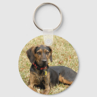 Chaveiro Plott Hound