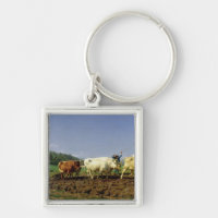 Ploughing em Nivernais, 1849
