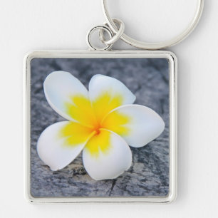 Chaveiro Plumeria
