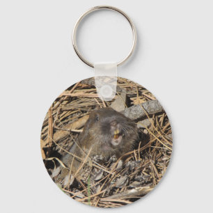 Chaveiro Pocket Gopher