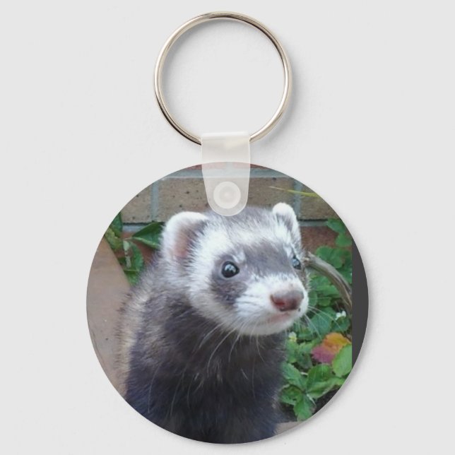 Chaveiro Polecat ferret (Frente)