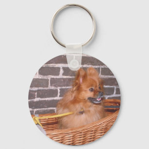 Chaveiro Pomeranian