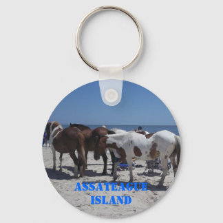 Chaveiro Ponies Insulares de Assateague