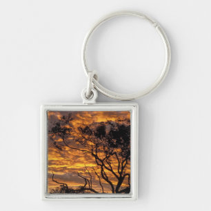 Chaveiro Pôr do sol, Parque Nacional Uluru-Kata Tjuta,