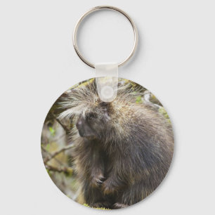 Chaveiro Porcupina determinada