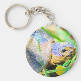 Chaveiro Pormenores sobre a Angulação de Tortas na África d