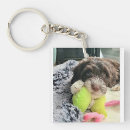 Chaveiro Portuguese Water Dog Key Chain