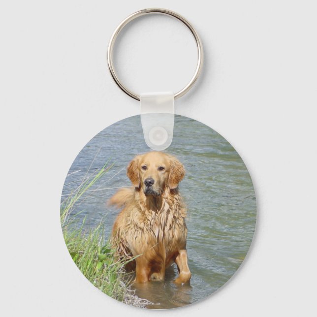 Chaveiro Possibilidade ~ do Ouro Retriever (Frente)