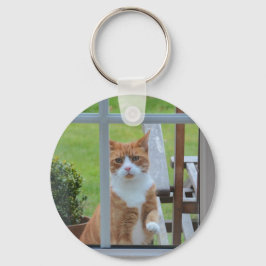 Chaveiro Posso Entrar Em Pumpkin?