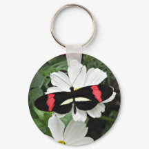 Postman Longwing Butterfly na Flor