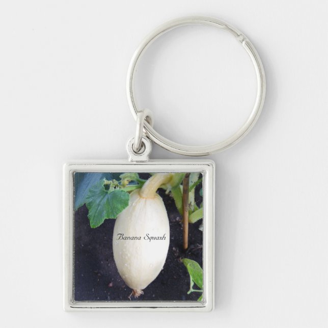 Chaveiro Praça da Banana de Jardinagem (Frente)