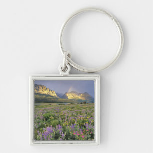 Chaveiro Prado de Flores Silvestres perto do Lago Sherbourn