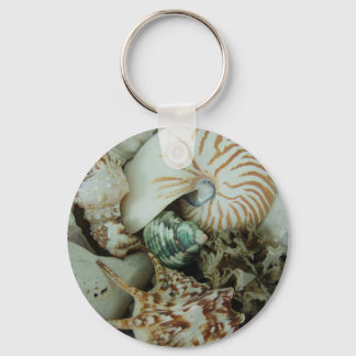 Chaveiro Prateleiras do Mar da Flórida