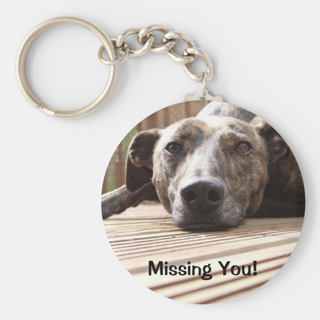 Chaveiro Preguiçoso (Frente)