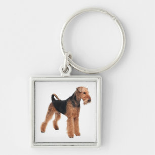 Chaveiro Premium de Cachorro Filhote Airedale Terr