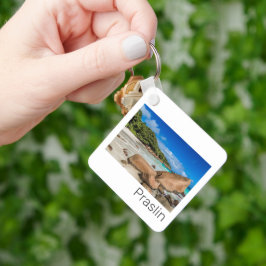 Chaveiro Presente na praia da Anse Lazio, ilha das Seichele