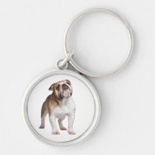 Chaveiro Presente para Amante de Cachorro Inglês Fofo  Puls