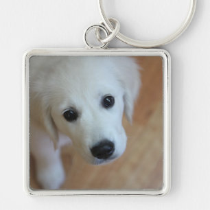 Chaveiro Presente para amantes dos animais